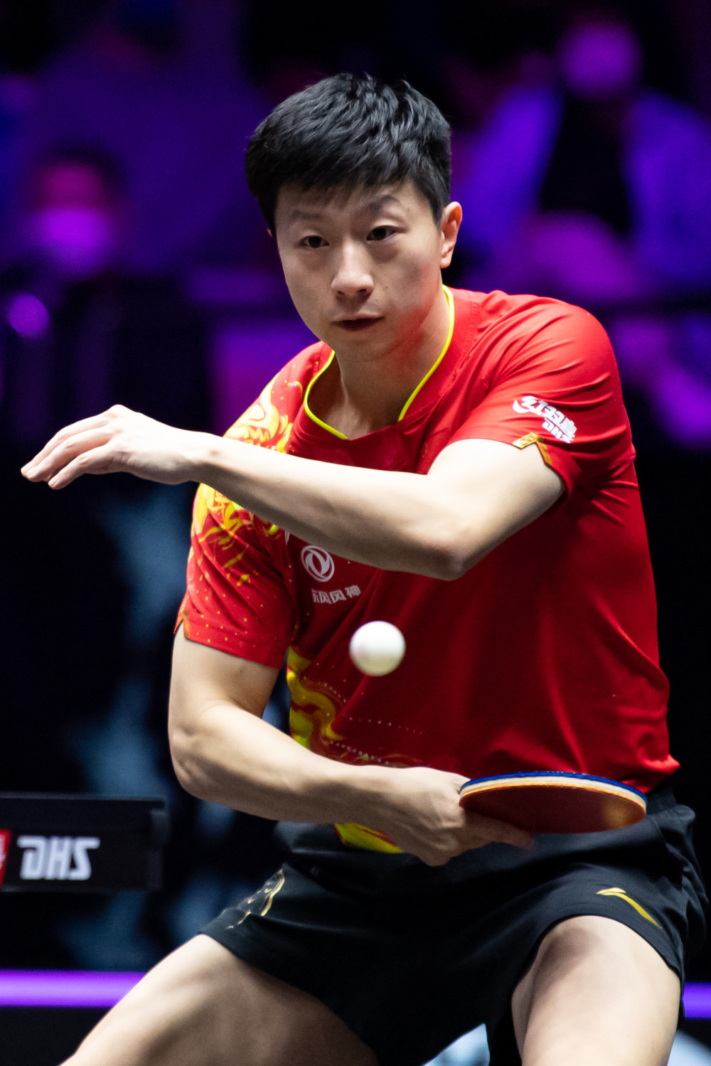 赛中分解目 赛中分解目